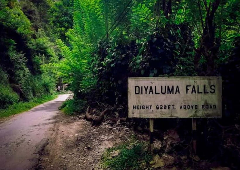 Ella: Tuk Tuk Tour to Diyaluma and Secret Waterfalls - The tuk tuk rhythm around Ella (what the ride is really like)