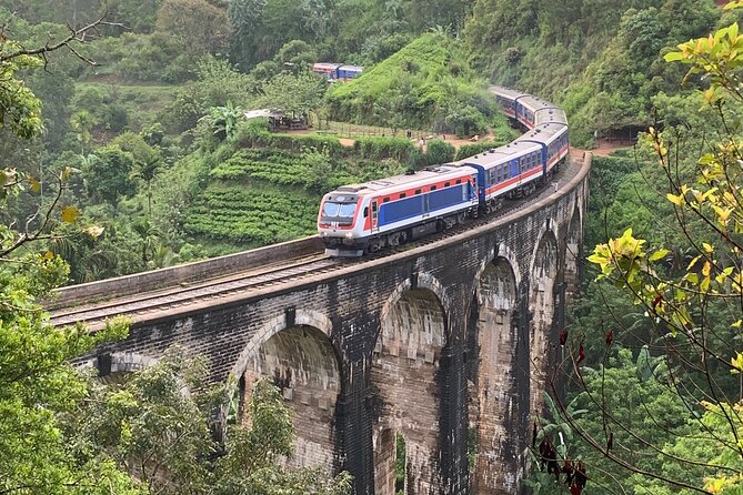 Ella:One Day Tour From Ella & Pickup From Tangalle/Mirisa/Colombo - The Tea Factory Option: Lipton Seat and Tea Culture (Optional, Extra)