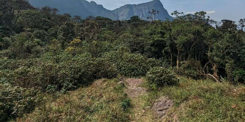 Exclusive knuckles Camping Tour from kandy - Should you book it?
