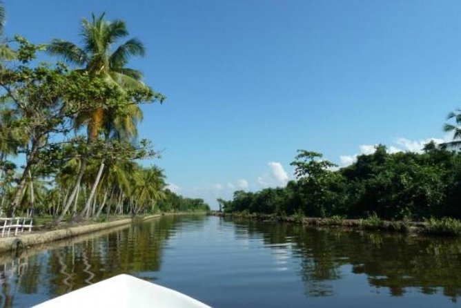 Exclusive: Muthurajawela Bird Watching Tour with Transfers - Key things to know before you go