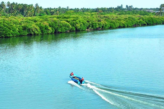 Exclusive: Muthurajawela Bird Watching Tour with Transfers - Light refreshments + local narration that keeps the trip meaningful