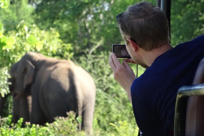 Exclusive : Overnight Leopard Safari with Luxury Glamping - Logistics and timing: how to set yourself up for success