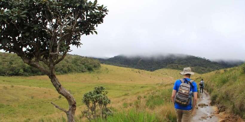 Exclusive: Private Horton Plains, Tea Plucking tour & Lunch - Key highlights you’ll care about