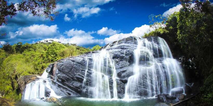 Exclusive: Private Horton Plains, Tea Plucking tour & Lunch - Nuwara Eliya lunch: refuel the right way