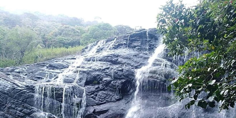 Exclusive: Private Horton Plains, Tea Plucking tour & Lunch - Price and value: $90 per person, what you’re really paying for