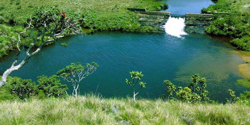 Exclusive: Private Horton Plains, Tea Plucking tour & Lunch - 06:00 pickup to Horton Plains National Park: timing and expectations
