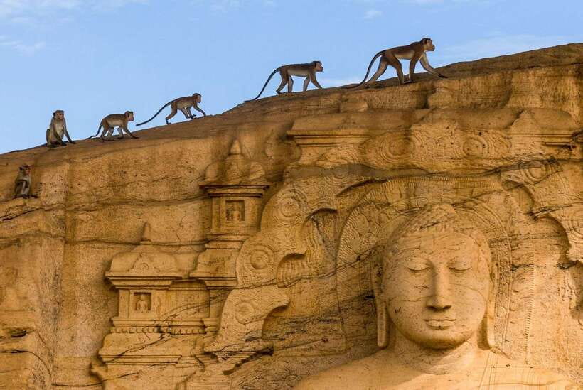 Exclusive: Sigiriya Fortress & Polonnaruwa Guided Tour - Lunch at a local restaurant: what 2500 LKR buys you