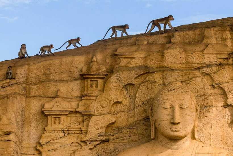 Exclusive: Sigiriya Fortress & Polonnaruwa Guided Tour - Temple etiquette and packing for Sri Lanka’s historic sites