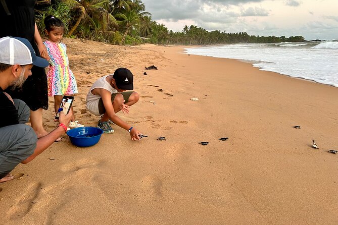 Explore Bentota Village: Guided Tuk Tuk Safari - Price and value: what you actually get for $48