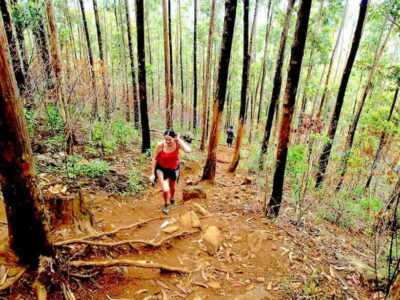 Explore Ella: Rock Hike, Loop, Falls, Nine arch & Train View - Key highlights to look for on this Ella day