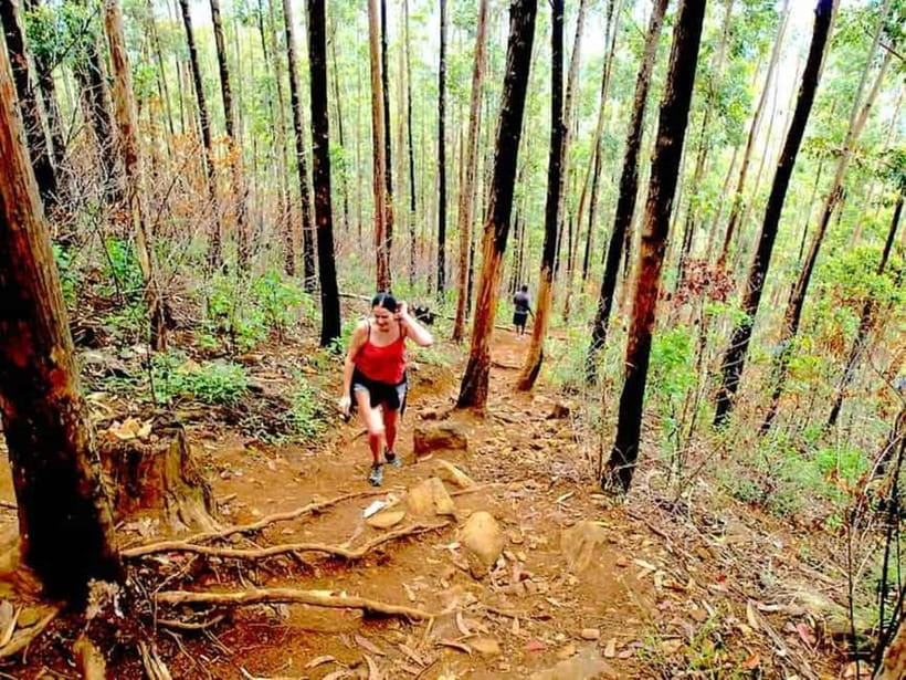 Explore Ella: Rock Hike, Loop, Falls, Nine arch & Train View - Key highlights to look for on this Ella day