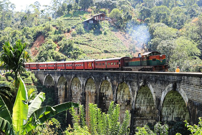 Explore the best of Ella. Hiking, waterfalls and cultural tour - Tea fields with a Ceylon-tea teaching angle