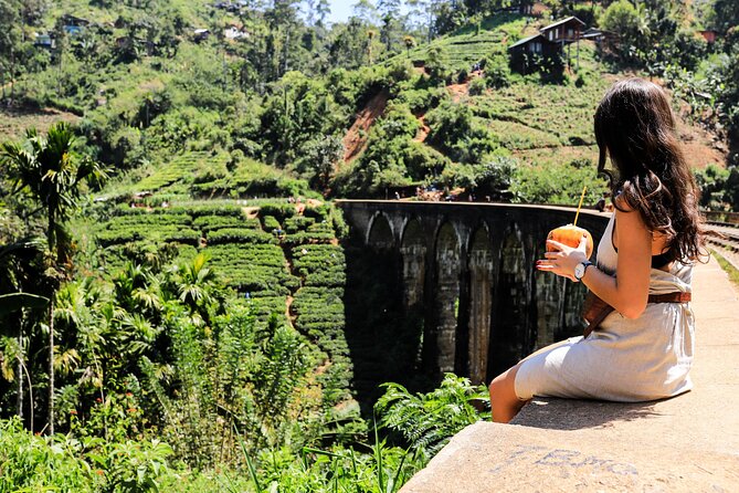 Explore the best of Ella. Hiking, waterfalls and cultural tour - How the day flows: car comfort, small group size, and rain adjustments