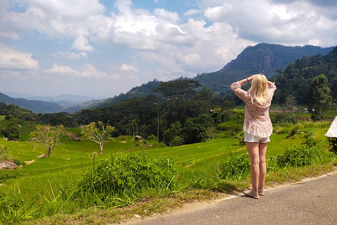Explore the best of Ella. Hiking, waterfalls and cultural tour - Price and value: what $76 buys you in a full Ella day