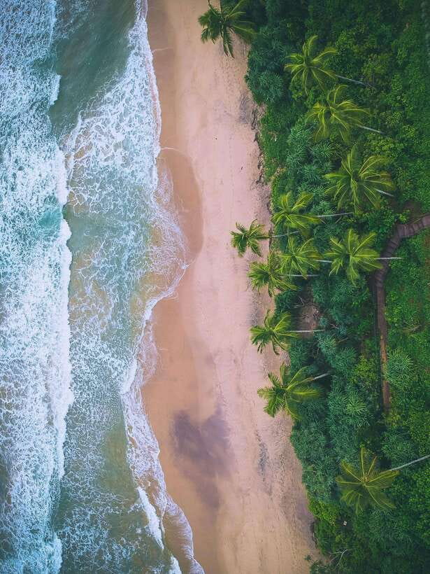Explore the MAGIC of Sri Lanka in 7days -4 Star hotels Incl. - Why this 7-day route clicks: Central to coast without guesswork