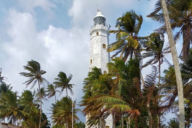Family-Friendly Private Galle City Tour - Madu Ganga River safari by Buddhi: mangroves, wildlife chances, and what to expect