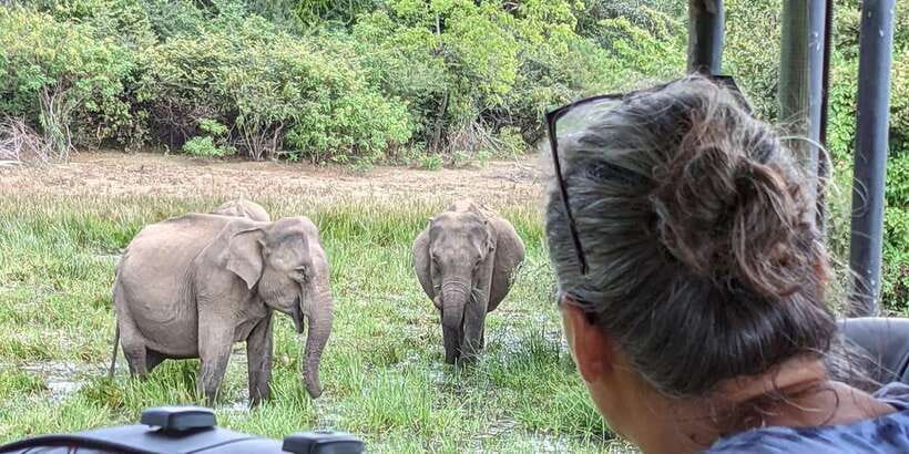 From Arugambay : Yala National Park Safari & Dropoff in Ella - Price and Value: Is $74 per Person Fair?