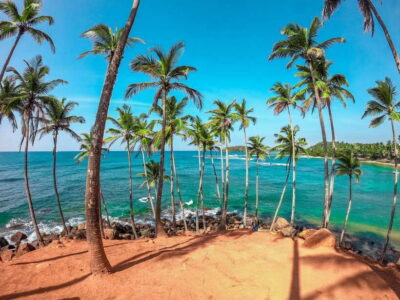 From Bentota: Elephant Transit Camp and Udawalawe Safari - Getting From Bentota (or Kalutara) to the Park: The Early Start Reality