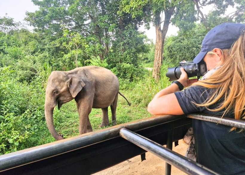 From Bentota: Elephant Transit Camp and Udawalawe Safari - Elephant Transit Camp Milk Feeding: Seeing Babies Up Close