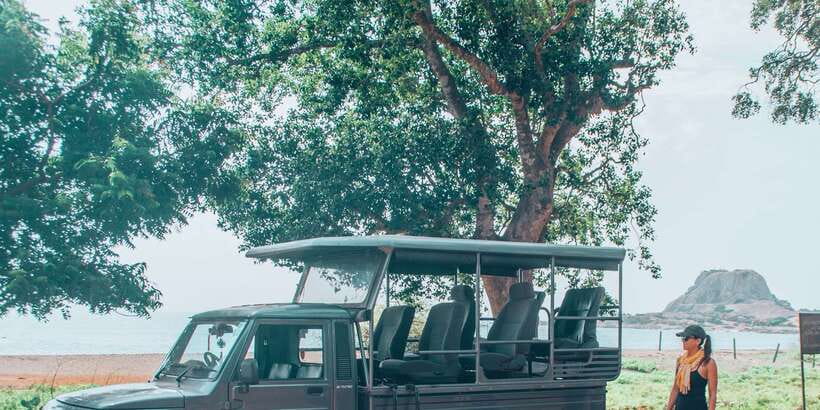 From Bentota: Full-Day Yala National Park Safari Tour - The jeep safari feel: comfort, spotting strategy, and staying alert