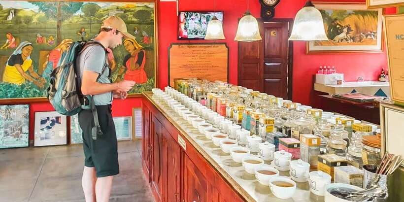 From Bentota: Southern Coast Highlights Private Day Tour - Lunch Break and Arrival in Galle by Early Afternoon