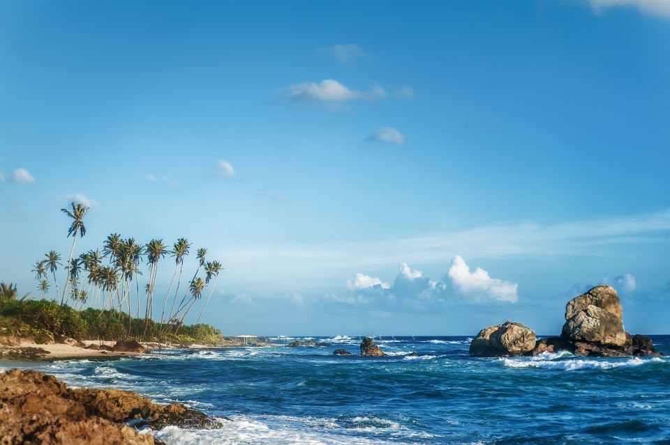 From Colombo: Day Trip to Galle City, Koggala and Unawatuna - Transportation, guide, and what’s included (and what isn’t)