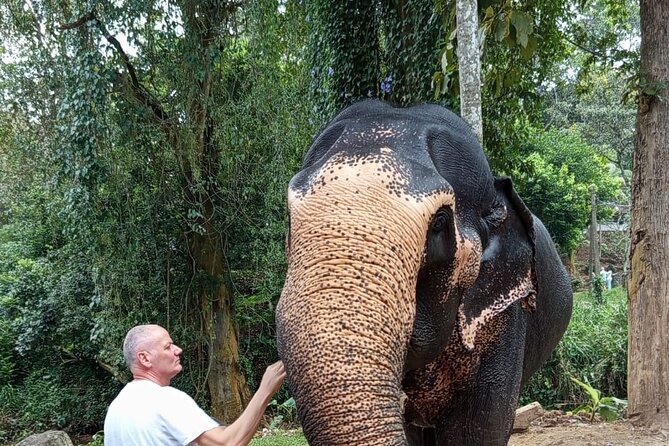 From Colombo: Kandy and Pinnawala Full-Day Trip - A 6:00 a.m. start that makes Kandy feel reachable