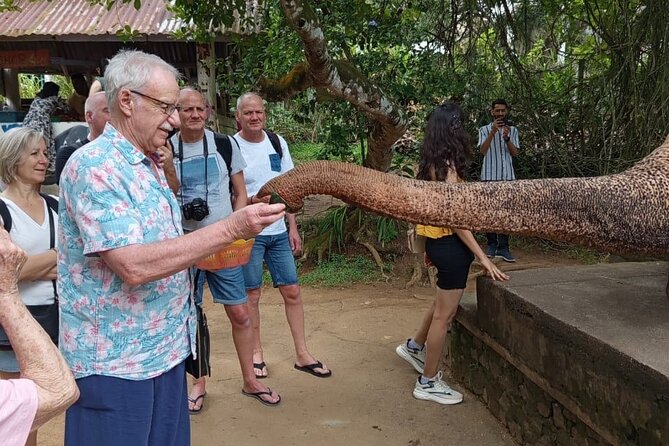 From Colombo: Kandy and Pinnawala Full-Day Trip - Temple of the Sacred Tooth: the UNESCO centerpiece (and what not to forget)