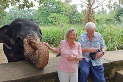 From Colombo: Kandy and Pinnawala Full-Day Trip - How the small-group pickup really helps your day