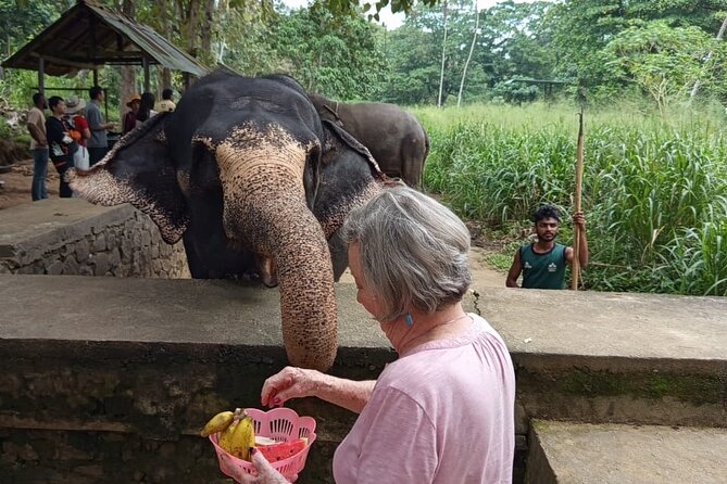 From Colombo: Kandy and Pinnawala Full-Day Trip - Kandy View Point plus Bahiravokanda Buddha: two quick panoramas, no stress