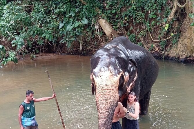 From Colombo: Kandy and Pinnawala Full-Day Trip - Kandy Lake Club cultural show: a fun finish after sightseeing