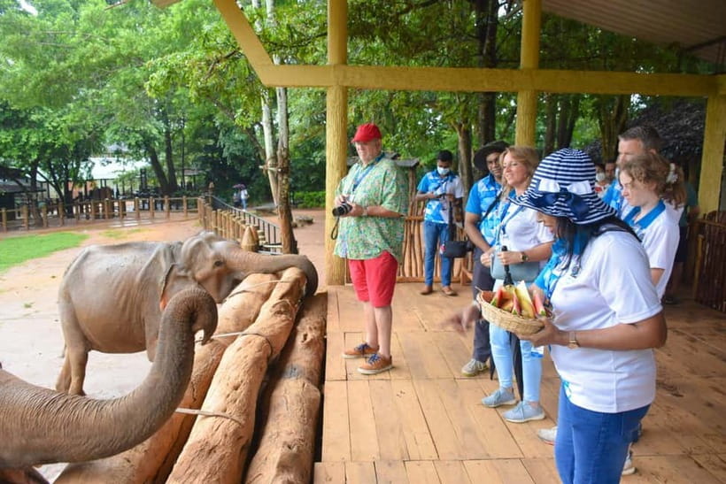 From Colombo: Kandy and Pinnawala Orphanage Short Excursions - Key highlights at a glance