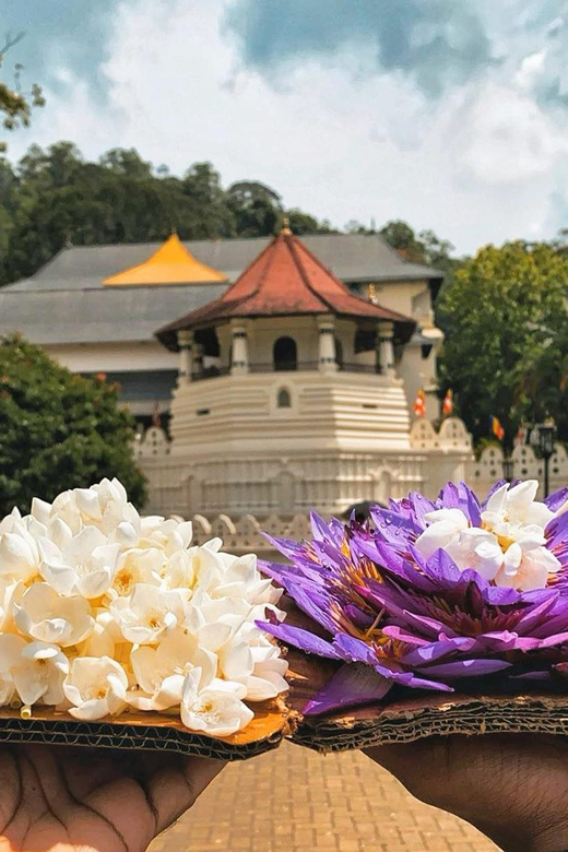 From Colombo: Kandy and Pinnawala Orphanage Short Excursions - Entry Fees, Elephant Ride Options, and the Real Cost Math