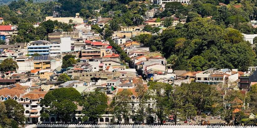 From Colombo: Kandy Full-Day Trip - A long Kandy day that’s actually structured