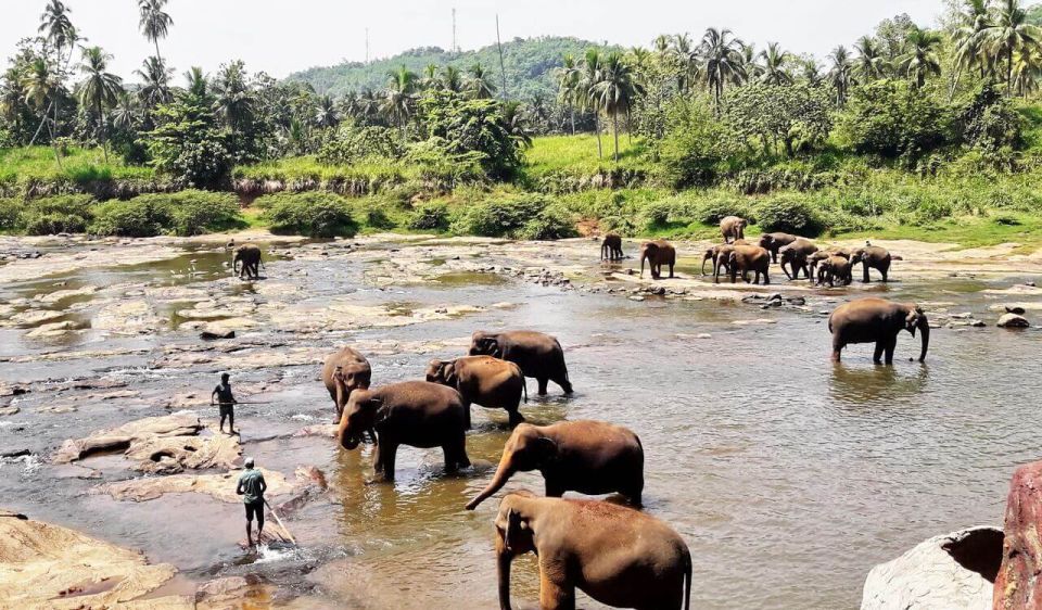 From Colombo: Kandy Full-Day Trip - Kandy Lake, viewpoint, and a lunch break that keeps you human