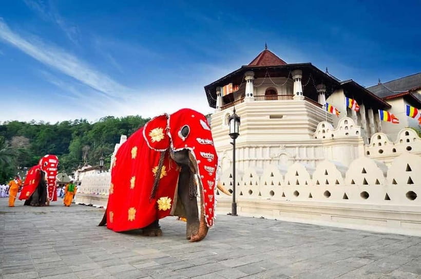 From Colombo: Kandy, Pinnawala and Tea Factory Full-Day Trip - How a 12-hour Colombo to Kandy day really plays out