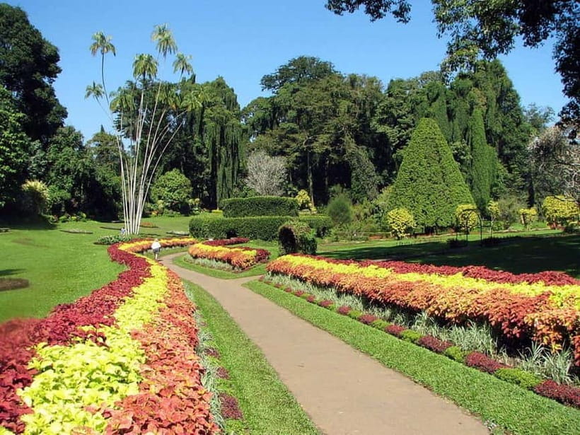 From Colombo: Kandy, Pinnawala and Tea Factory Full-Day Trip - Susantha Spice & Herbal Garden: a calmer 45 minutes