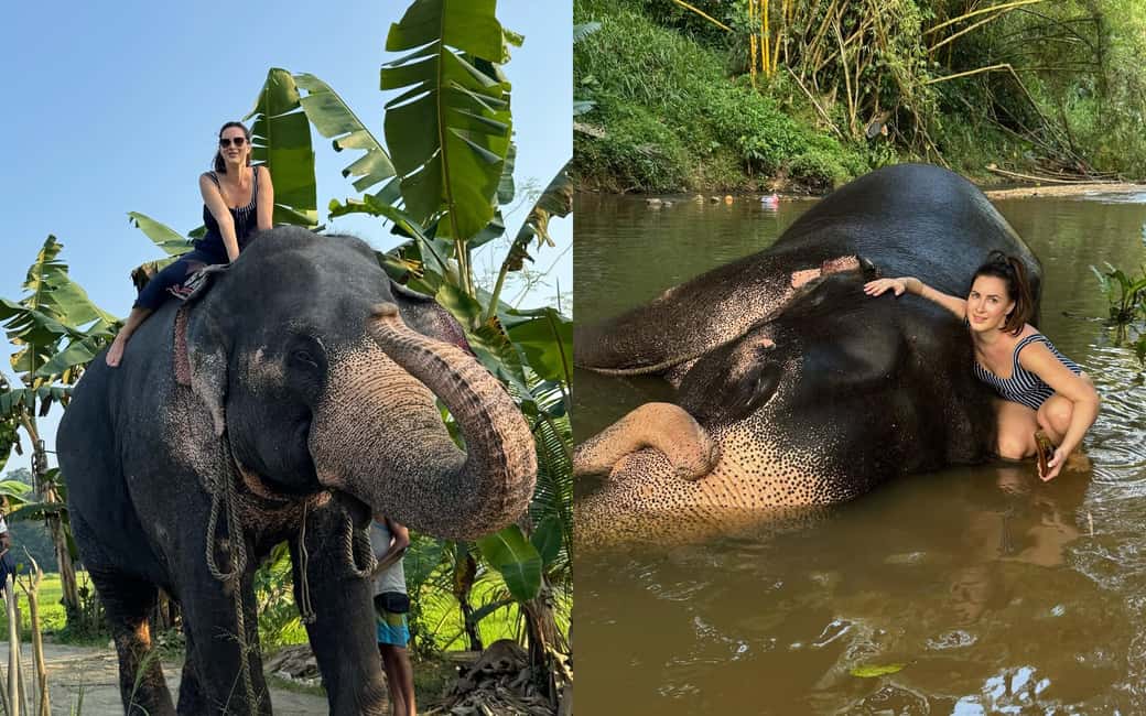 From Colombo: Kandy Temple of Tooth & Elephant Orphanage - Tea factory and the herbal garden walk: a stop that adds taste and context