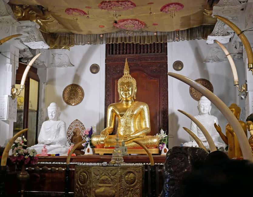 From Colombo: Kandy Temple of Tooth & Elephant Orphanage - Price and value: what $62 gets you (and what costs extra)