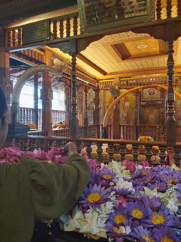 From Colombo: Kandy Temples and Pinnawala Full-Day Tour - Morning pickup to Ambepussa: the start of your day