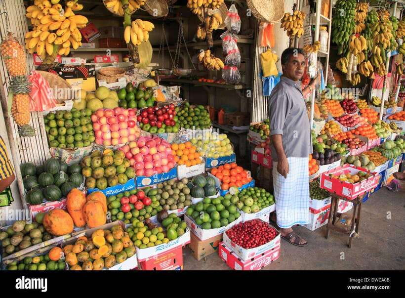 From Colombo: Kandy Temples and Pinnawala Full-Day Tour - Tooth Relic Temple in Kandy: UNESCO spirituality plus real-world footwear rules