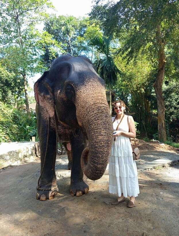 From Colombo or Negombo: Pinnawala, Kandy & Tea Factory Tour - From Colombo or Negombo: the road time you should actually plan for