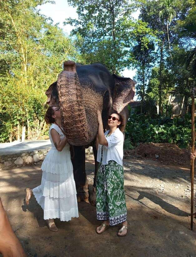 From Colombo or Negombo: Pinnawala, Kandy & Tea Factory Tour - Bahirawakanda Temple and the Kandy viewpoints: set your bearings fast