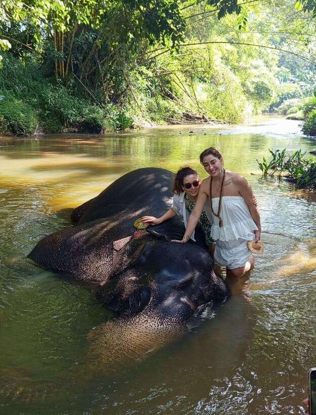 From Colombo or Negombo: Pinnawala, Kandy & Tea Factory Tour - Lunch with a Kandy view: plan for extra cost and choose wisely