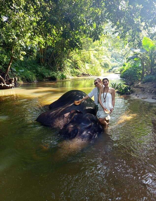 From Colombo or Negombo: Pinnawala, Kandy & Tea Factory Tour - Gem factory, batik shopping, and spice garden learning: souvenirs with a purpose