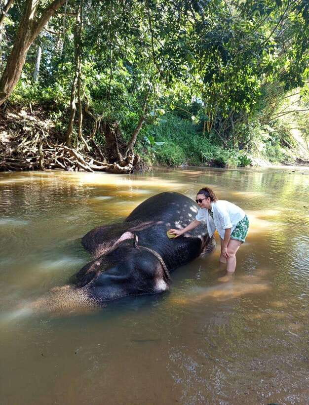 From Colombo or Negombo: Pinnawala, Kandy & Tea Factory Tour - What’s included in the price: where your money goes