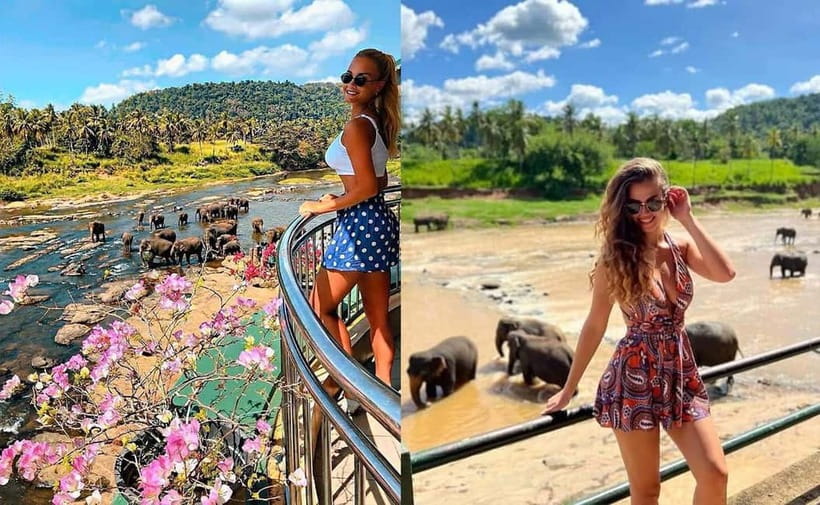 From Colombo: Pinnawala & Tea factory with Kandy Hotel Drop - Pinnawala Elephant Orphanage: What You’re Likely Seeing