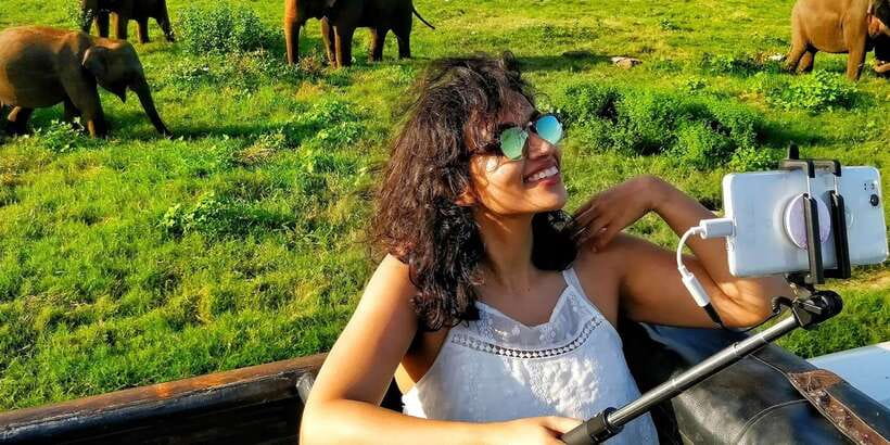 From Colombo: Private Minneriya National Park Day Safari - The 4x4 game drive: your real wildlife window
