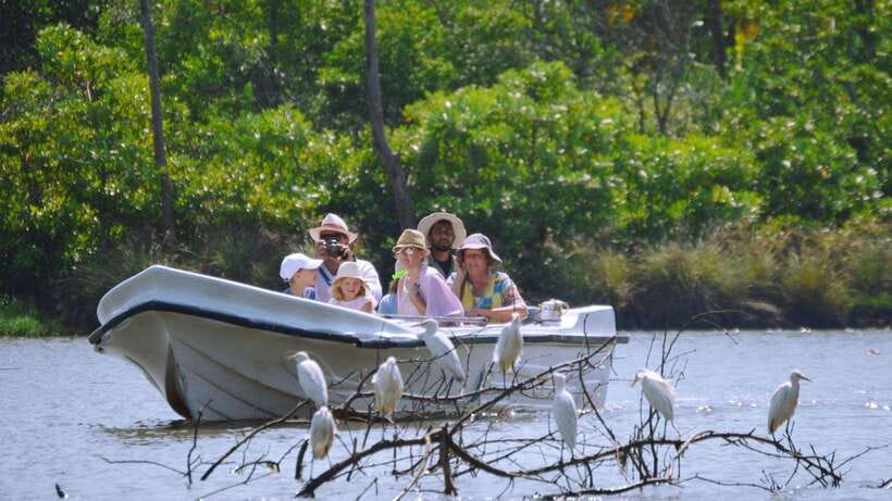 From Colombo to Galle Fort and Jungle Beach Day Trip - Hikkaduwa and the turtle focus: conservation with rules you must follow