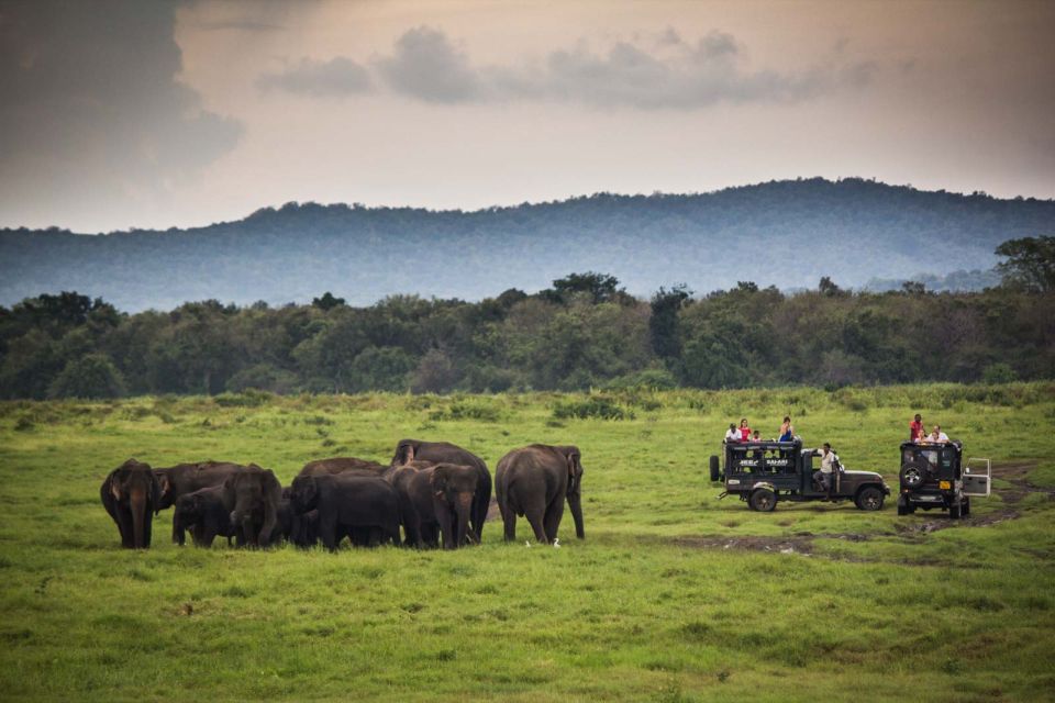 From Colombo: Udawalawa Safari & Elephant Transit Home Tour - Best for: who this safari day trip fits perfectly